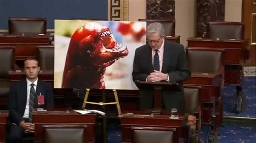 Sen. John Kennedy claims people who eat foreign shrimp will 'turn into aliens'