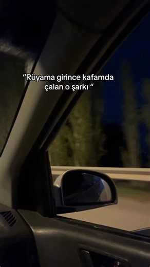 Exploring Scenic Views from a Moving Car