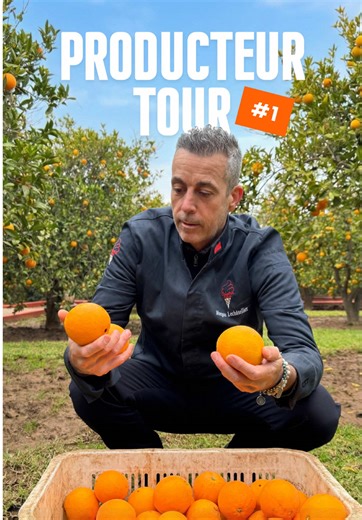 À la découverte des agrumes bio près de Marrakech