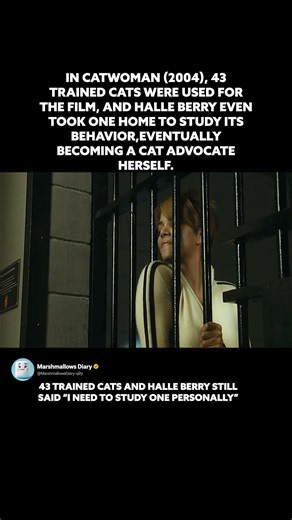 43 Cats Were Trained For Catwoman And Halle Berry Kept One