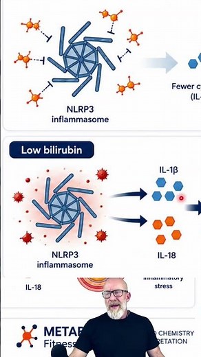 Bilirubin and the NLRP3 Inflammasome