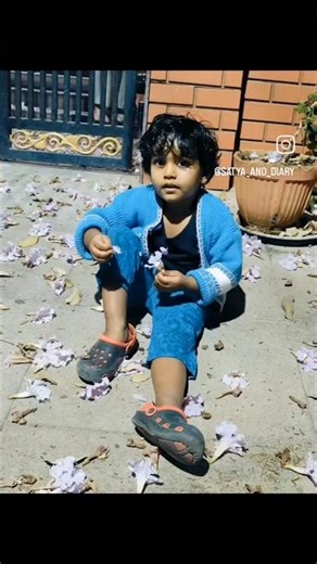 beutiful spring season in Bangalore