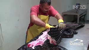 Fast Workers God Level 2019 (with Realistic Sound )