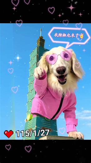 辣椒：哼…我也做到了✌️✌️😂😂😂😂😂