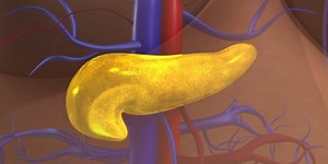 5 Things You Need To Know About The First Artificial Pancreas For Diabetes