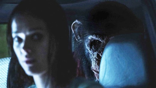 Réaliste et surprenant, Primate va vous rappeler les films d'angoisse à l'ancienne