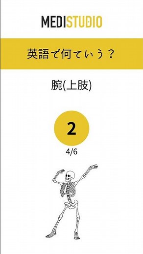 医療英語クイズ #49 人体各器官の名称(上半身編)｜体の部位の名称をどこまで英語で言える？ #看護師