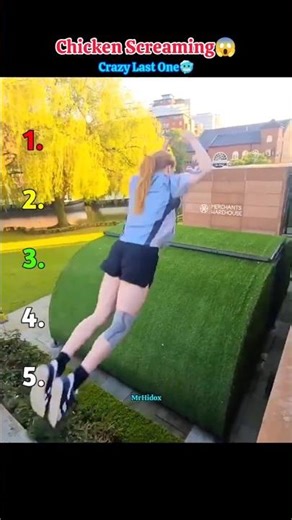 Funny Chicken screaming part 04