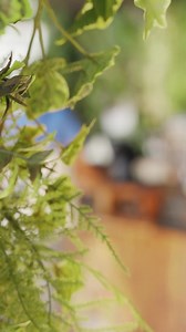 36 reactions | "We need a machine that guarantees everything stays...