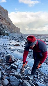 88K views · 1K reactions | We searched a beach for fossils and crystal and found a Jurassic Age ball of rock hidden within a huge loose boulder and opened it up with our geology hammer 勞 We found a cephalopod fossil roughly 180 million years old ️ You win some, you lose some! 秊 Thanks for supporting our page!  #fossilhunting #rockbowling #ammonite #beachcombing #fyp | Yorkshire Fossils | Facebook