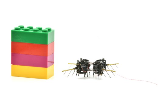 MIT built a swarm of tiny robotic flies to pollinate flowers like bees