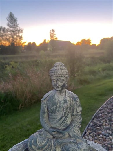 Tiffanybrown on TikTok