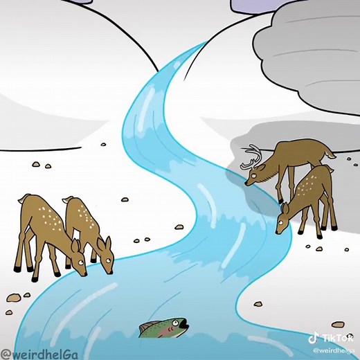 Anyone else excited for winter?? So sick of sweating so much!!! #animation #fyp #lol #nature #beauty