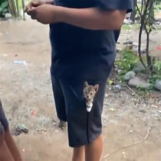 1.2K views · 30 reactions | 퐏퐞퐫퐬퐨퐧퐚퐥 퐁퐨퐝퐲퐠퐮퐚퐫퐝... | Meme Addicts | Facebook