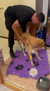 344K views · 7.6K reactions | ❗️Na ez a nehéz, ide kell erő és...