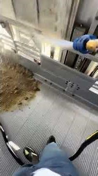 🚛 Epic Livestock Cleaning on a Beastly Truck! #CleanLife #PassionInAction ✨