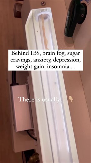 Improve Gut Health with Colonics: Detox, Cleanse, and Eliminate Bloating