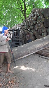10K views · 82 reactions | how to move out giant log from pile | Sawmill & Woodworking | Facebook