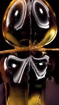 Object ASMR Part 4| pencil vs pencil | slow motion impact #asmr #capcut#closeup #slowmotion