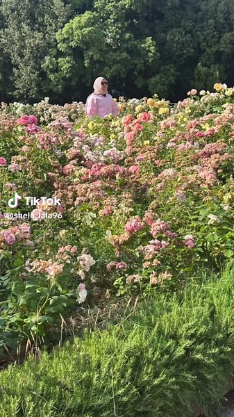 Indahnya Taman Mawar di Tuscany