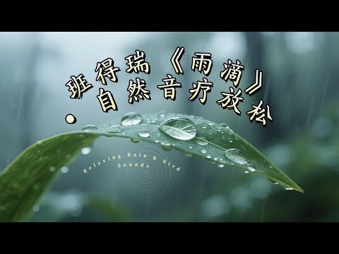 《班得瑞《雨滴》与自然音疗，水滴与鸟鸣放松压力 | Relaxing Rain & Bird Sounds by Bandari》