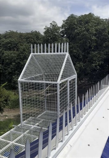 Designing My Dream Loft Apartment: Progress Update