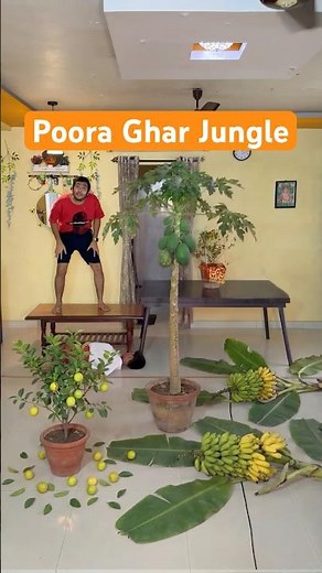 Chintu ne ghar ko Jungle bana diya | #comedy #funny #memes #papa #chintu