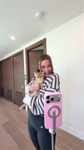 El equipo Caos y su nueva mascota: ¡Un gatito adorable!