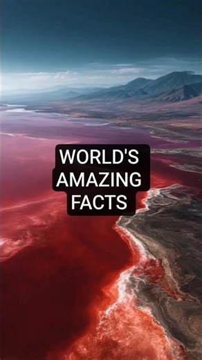 World's amazing facts #shorts #facts #amazing