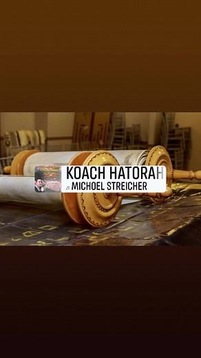 Michoel Streicher on Reels