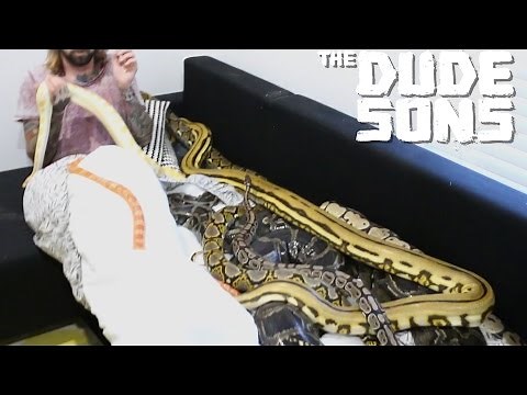 Giant Snake Wake Up Prank - The Dudesons