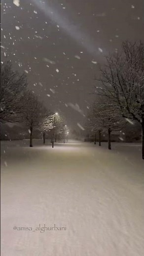 Beautiful Snowfall