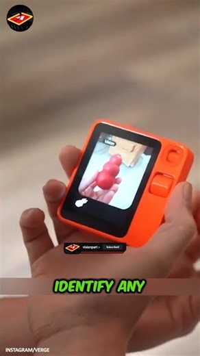 No Driver in the Taxi?! Then Rabbit R1 Tried to Guess Everything in 20 Questions.