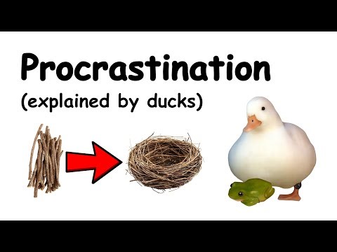 Procrastination (explained by ducks)
