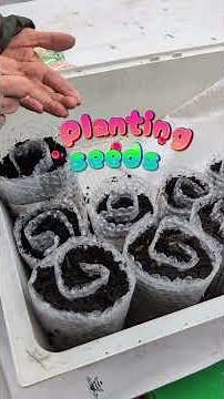 How to start your seeds / easy seed propagation / best way to grow seeds / recycling