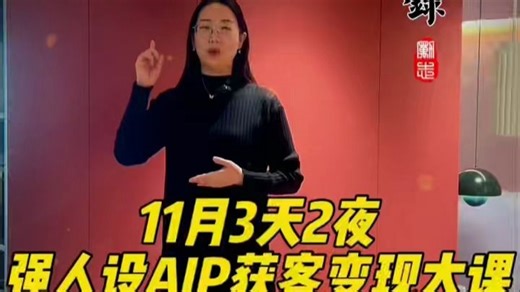 一人公司强人设AIP全案操盘实战集训