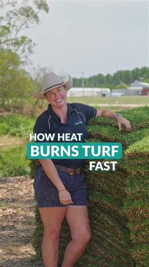 Hot tip for summer turf laying 🌱 Lay your turf within 24 hours-especially in the heat. If it's warm in the middle of the pallet, you’re risking pallet burn-and there's no coming back from that. Fresh, cool turf is what you want. Brown, dry, or hot? Walk away. Follow for more lawn care tips ✅ | Wild Horse Turf