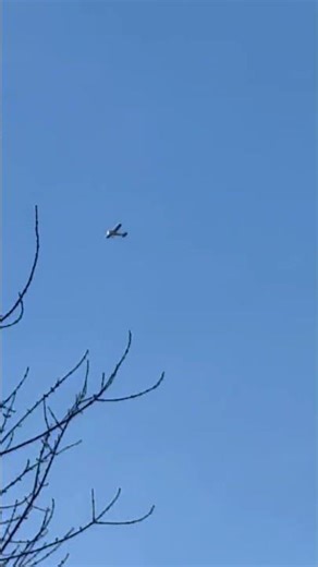 Cessna 172P flying over Winslow NJ.