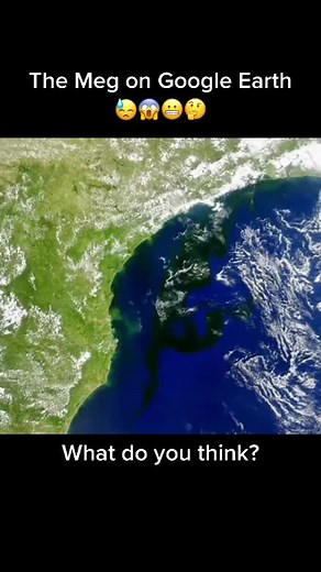 Megalodon or Whale? Exploring Shark Sightings on Google Earth