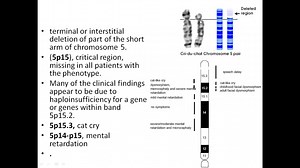 Ch-6 part2 Clinical Cytogenetics autosomal disorders-structural