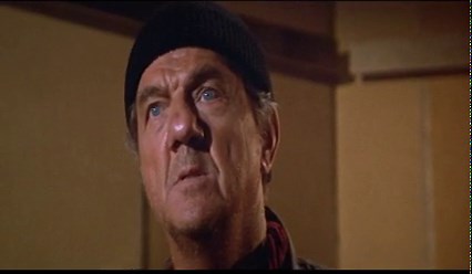 Beyond the Poseidon Adventure (1979)