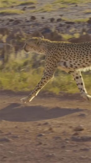 Back to the Source Tours on Instagram: "We design small-group journeys, typically 11 to 12 travelers, to create the ideal balance of connection, exclusivity, and shared discovery. These are trips for people who value intimate exploration over crowded sightseeing. Our expeditions are inspired by Fanny our founder and Arturo Islas Allende’s global travels and a lifetime dedicated to wildlife conservation, and some select groups throughout the year are hosted by Arturo himself, adding a rare layer