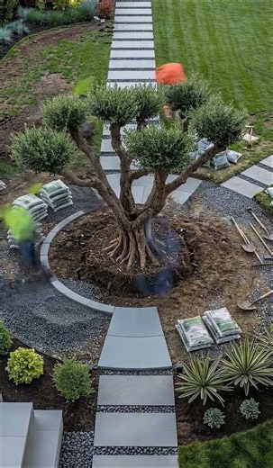 Tree instalation in backyard