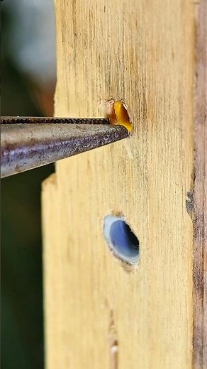 How to Remove Plastic Wall Anchors Fast #toolstour