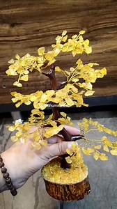 12 reactions | Citrine Tree WhatsApp for placing order...