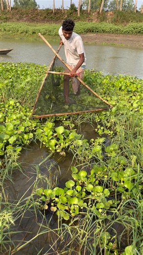Real Village Hyacinthe Fishing Video