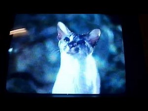 Rare Villain Defeats: Smokey