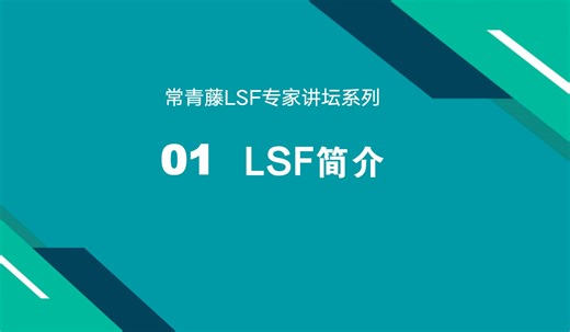 1-LSF简介