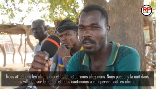 151K views · 1.1K reactions | [ Les routes du chien ] à la...