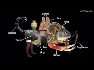 The Final Moments Of ACME Night On Adult Swim (December 29th 2024)